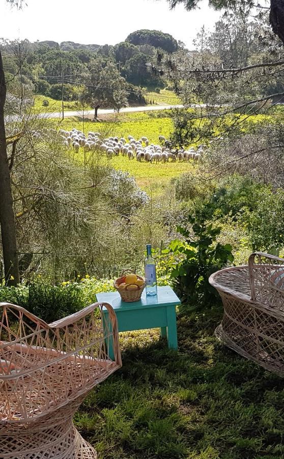 Morphee Valdareina, Piscine Chauffee, Benagil-Carvoeiro Daire Carvoeiro  Dış mekan fotoğraf