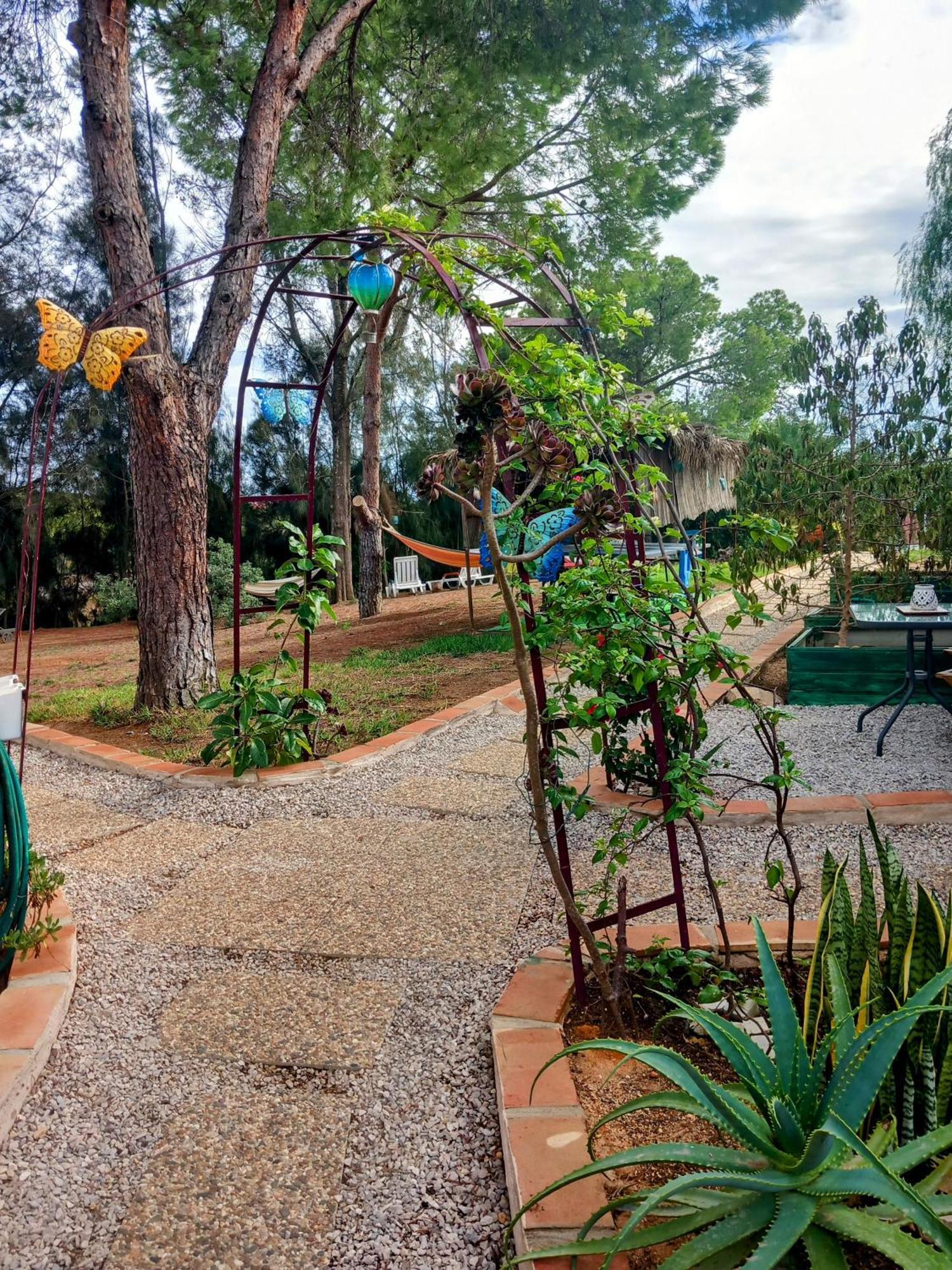Morphee Valdareina, Piscine Chauffee, Benagil-Carvoeiro Daire Carvoeiro  Dış mekan fotoğraf